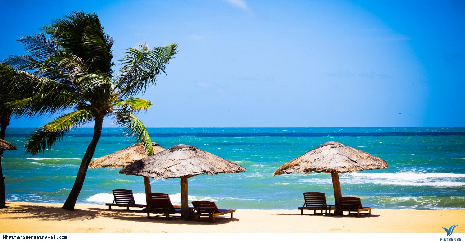 Kinh Nghiệm Du lịch Nha Trang Giá Rẻ Kinh Nghiệm Du lịch Nha Trang Giá Rẻ
