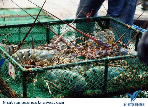 Thăm Đảo Bình Ba Ngày Đông - Ảnh 3 Thăm Đảo Bình Ba Ngày Đông - Ảnh 3