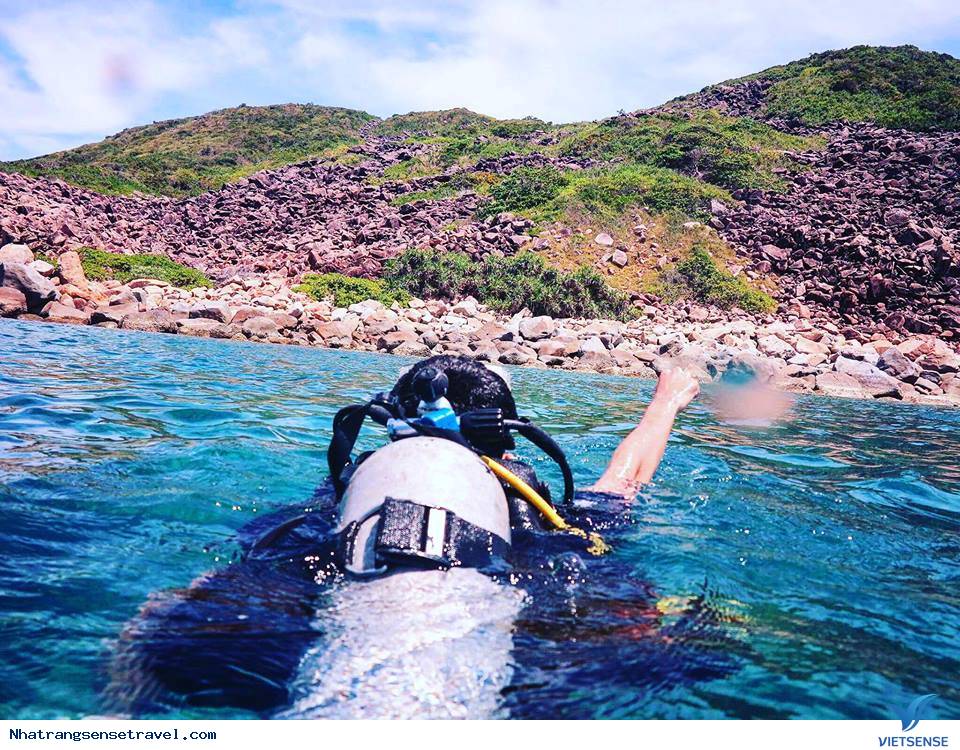 Thử Thách Bản Thân Với Trải Nghiệm Scuba Diving Ở Nha Trang - Ảnh 2 Thử Thách Bản Thân Với Trải Nghiệm Scuba Diving Ở Nha Trang - Ảnh 2
