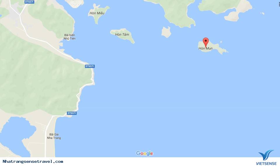 Thử Thách Bản Thân Với Trải Nghiệm Scuba Diving Ở Nha Trang - Ảnh 10 Thử Thách Bản Thân Với Trải Nghiệm Scuba Diving Ở Nha Trang - Ảnh 10