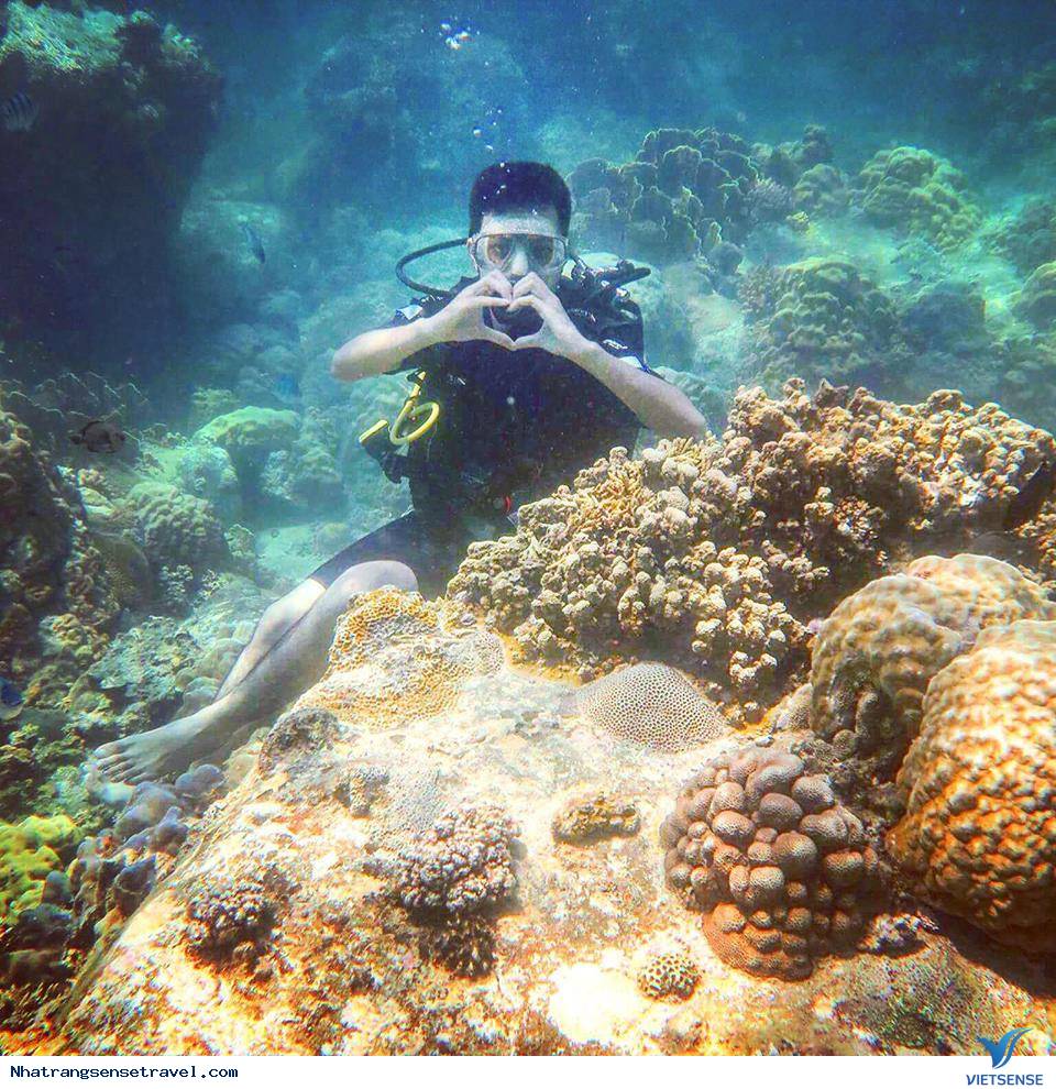 Thử Thách Bản Thân Với Trải Nghiệm Scuba Diving Ở Nha Trang - Ảnh 3 Thử Thách Bản Thân Với Trải Nghiệm Scuba Diving Ở Nha Trang - Ảnh 3