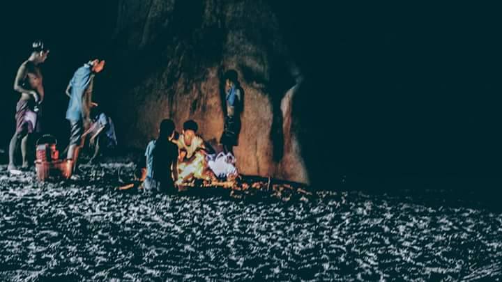 Bình Hưng - Nơi Dễ Dàng Chiếm Trọn Tình Yêu Của khách thăm quan - Ảnh 11