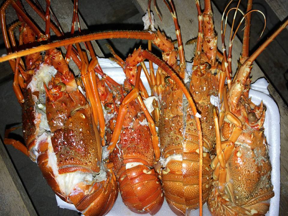 Bình Hưng - Nơi Dễ Dàng Chiếm Trọn Tình Yêu Của khách thăm quan - Ảnh 7