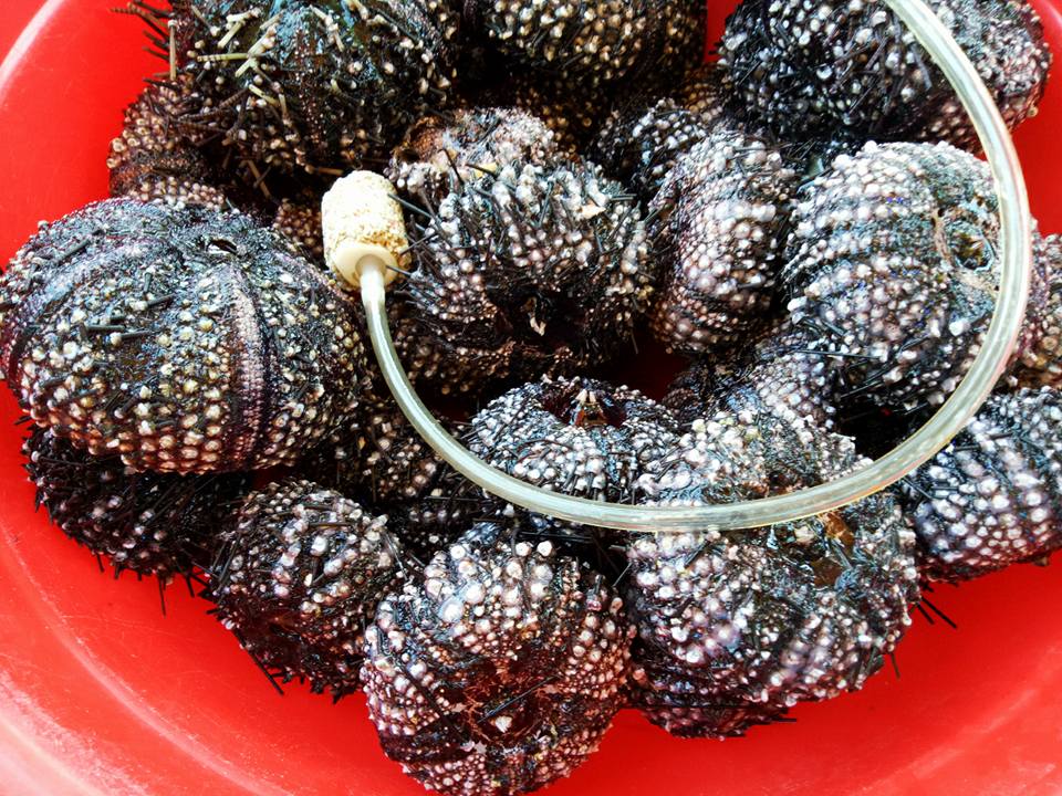 Bình Hưng - Nơi Dễ Dàng Chiếm Trọn Tình Yêu Của khách thăm quan - Ảnh 8