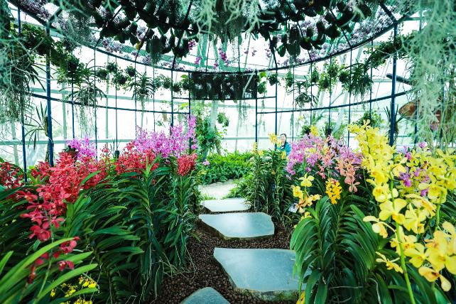 Muôn Hoa Khoe Sắc Đón Tết Trong Khu Vườn Rộng 35.000 m2 - Ảnh 4