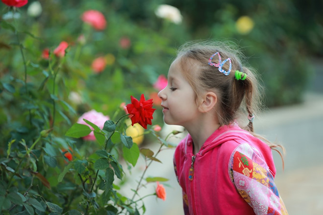 Muôn Hoa Khoe Sắc Đón Tết Trong Khu Vườn Rộng 35.000 m2 - Ảnh 3