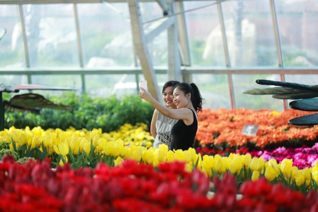 Muôn Hoa Khoe Sắc Đón Tết Trong Khu Vườn Rộng 35.000 m2 - Ảnh 2