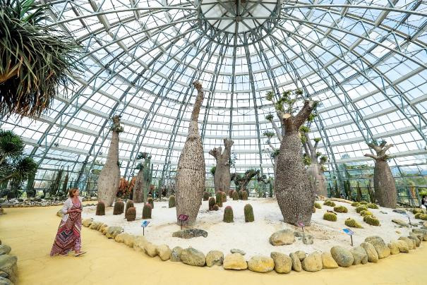 Muôn Hoa Khoe Sắc Đón Tết Trong Khu Vườn Rộng 35.000 m2 - Ảnh 5