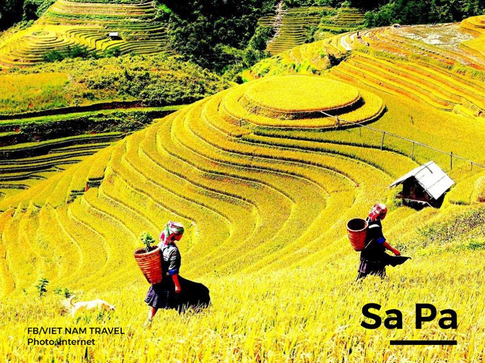 Nghỉ Lễ 2/9 Này Mình Đi Đâu Nhỉ - Ảnh 1 Nghỉ Lễ 2/9 Này Mình Đi Đâu Nhỉ - Ảnh 1