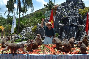Độc Đáo Lễ Hội Hoa Quả Sơn Trên Đảo Khỉ - Nha Trang