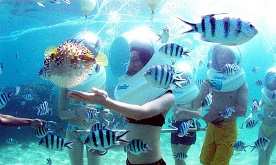 Đi Bộ Dưới Đáy Biển Nha Trang - Dịch Vụ Đặc Biệt Của Du Lịch Nha Trang Đi Bộ Dưới Đáy Biển Nha Trang - Dịch Vụ Đặc Biệt Của Du Lịch Nha Trang