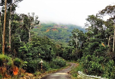 Hòn Bà - Một Trong 4 Điểm Đến Trekking Đẹp Nhất Miền Trung Hòn Bà - Một Trong 4 Điểm Đến Trekking Đẹp Nhất Miền Trung