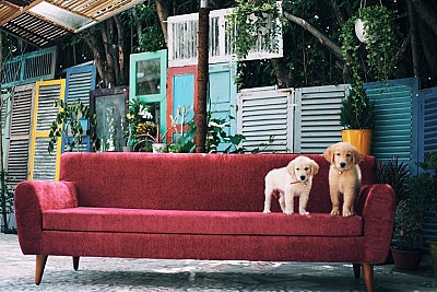 Khám Phá Homestay và Hostel Đẹp Ngất Ngây Ở Nha Trang Khám Phá Homestay và Hostel Đẹp Ngất Ngây Ở Nha Trang
