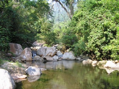 Suối Tiên Suối Tiên
