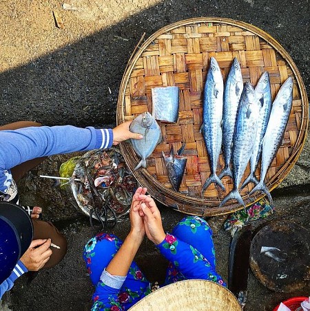 Giới thiệu Chợ Xóm Mới Giới thiệu Chợ Xóm Mới