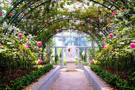 Giới thiệu Đồi Vạn Hoa