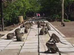 Chương trình Nha Trang: Hà Nội - Nha Trang 4 Ngày 3 Đêm