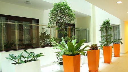 Khách Sạn Nhị Phi Nha Trang