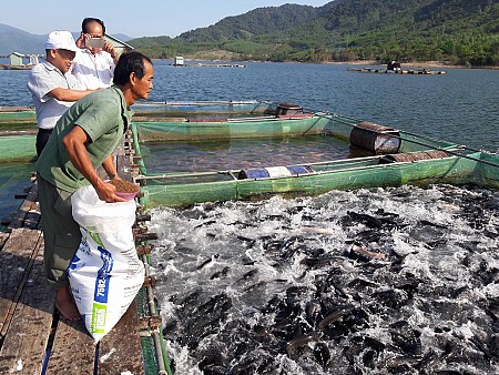 Nha Trang: phát triển khu nuôi trồng thủy sản làm du lịch