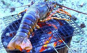 Khám Phá : Đảo Tôm Hùm Bình Ba - Vịnh Cam Ranh