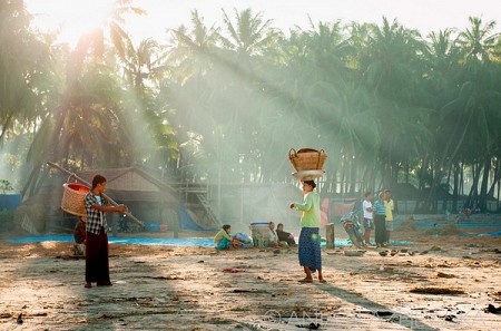chương trình ĐẢO TÔM HÙM BÌNH HƯNG 1 NGÀY