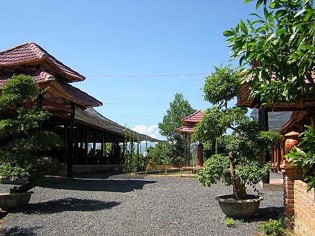 VNT11. Khám Phá Miệt Vườn Nhân Tâm