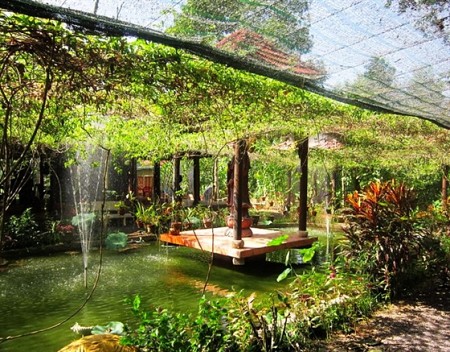 VNT11. Khám Phá Miệt Vườn Nhân Tâm