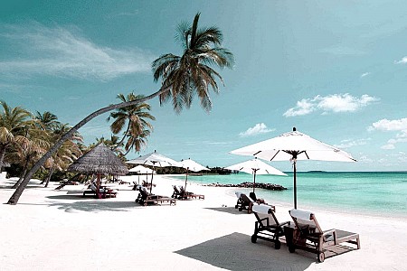 NHA TRANG - ĐÀ LẠT TỪ HÀ NỘI TẾT ÂM LỊCH 2025