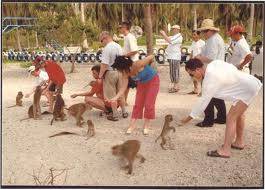 Chương trình Nha Trang - Suối Hoa Lan - Vịnh Nha Phú - Thác Yangbay