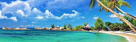 Hành Trình - Vinpearl Land 3N2D Từ Hà Nội Dịp Tết Dương Lịch