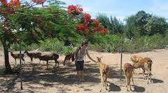 Hành Trình - Vinpearlland - 4 Đảo – Biển Dốc Lết – Khoáng Tháp Bà