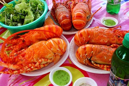 Khám Phá - Vinpearlland – Vịnh Nha Phu - Phố Biển Nha Trang