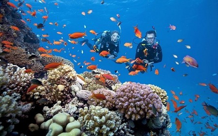 chương trình Hà Nội - Nha Trang - Vinpearl Land TẾT DƯƠNG LỊCH 2025- 3 Ngày 2 Đêm