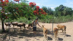 Chương trình 1 NGÀY THĂM QUAN ĐẦM NHA PHU