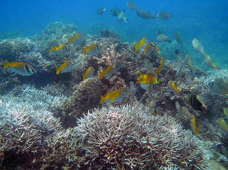 hành trình KÍCH CẦU hành trình: HÀ NỘI NHA TRANG 4 NGÀY 3 ĐÊM (BAO VÉ MÁY BAY)