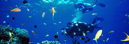 chương trình Vinpearl Land khởi hành từ Hà Nôi (Chưa Bao Gồm Vé Máy Bay)