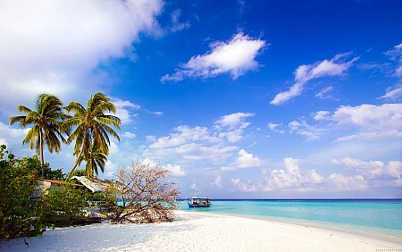 chương trình Vinpearl Land khởi hành từ Hà Nôi (Chưa Bao Gồm Vé Máy Bay)