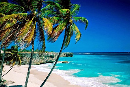 chương trình Nha Trang 4N3D Khuyến Mại Đặc Biệt Bao Trọn Vé Máy Bay