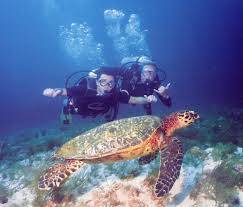 Hành Trình- Vinpearlland - Lặn Biển Nha Trang