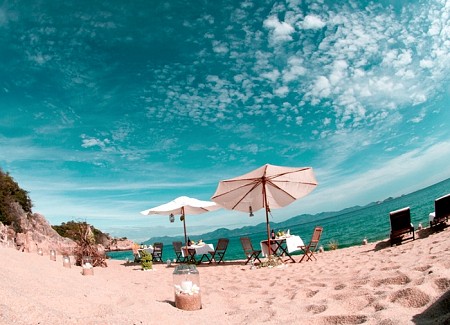 chương trình Trăng Mật Nha Trang -Đà Lạt 5 Ngày 4 Đêm