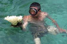 chương trình Vịnh Vân Phong Nha Trang