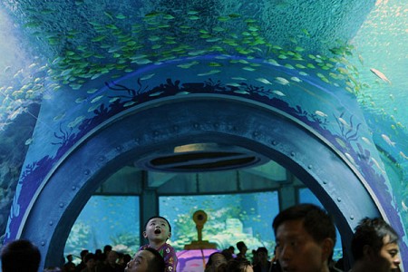 Viện Hải Dương Học Thành Phố Nha Trang - Khánh Hòa