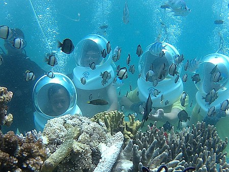 Chương trình Nha Trang Hành Trình Đi Bộ Dưới Đáy Biển