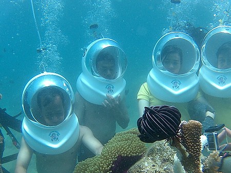 Chương trình Nha Trang Hành Trình Đi Bộ Dưới Đáy Biển