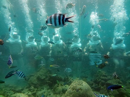 Chương trình Nha Trang Hành Trình Đi Bộ Dưới Đáy Biển