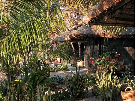 Whale Island resort - Decouvrir