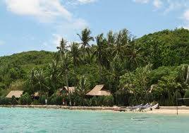 Whale Island resort - Decouvrir