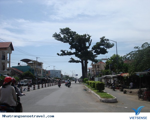 hành trình Nha Trang Lần Mò 15 Điều Thú Vị Chỉ Dân Địa Phương Mới Biết - Ảnh 6 hành trình Nha Trang Lần Mò 15 Điều Thú Vị Chỉ Dân Địa Phương Mới Biết - Ảnh 6