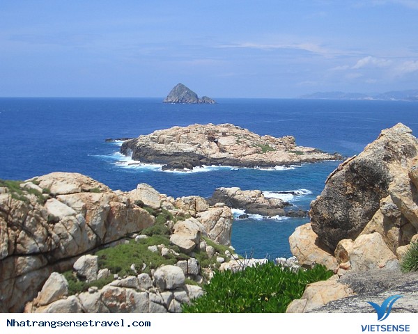 hành trình Nha Trang Lần Mò 15 Điều Thú Vị Chỉ Dân Địa Phương Mới Biết - Ảnh 1 hành trình Nha Trang Lần Mò 15 Điều Thú Vị Chỉ Dân Địa Phương Mới Biết - Ảnh 1