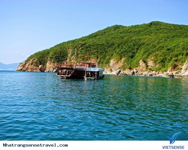 hành trình Nha Trang Và 5 Hòn Đảo Nhất Định Phải Ghé - Ảnh 5